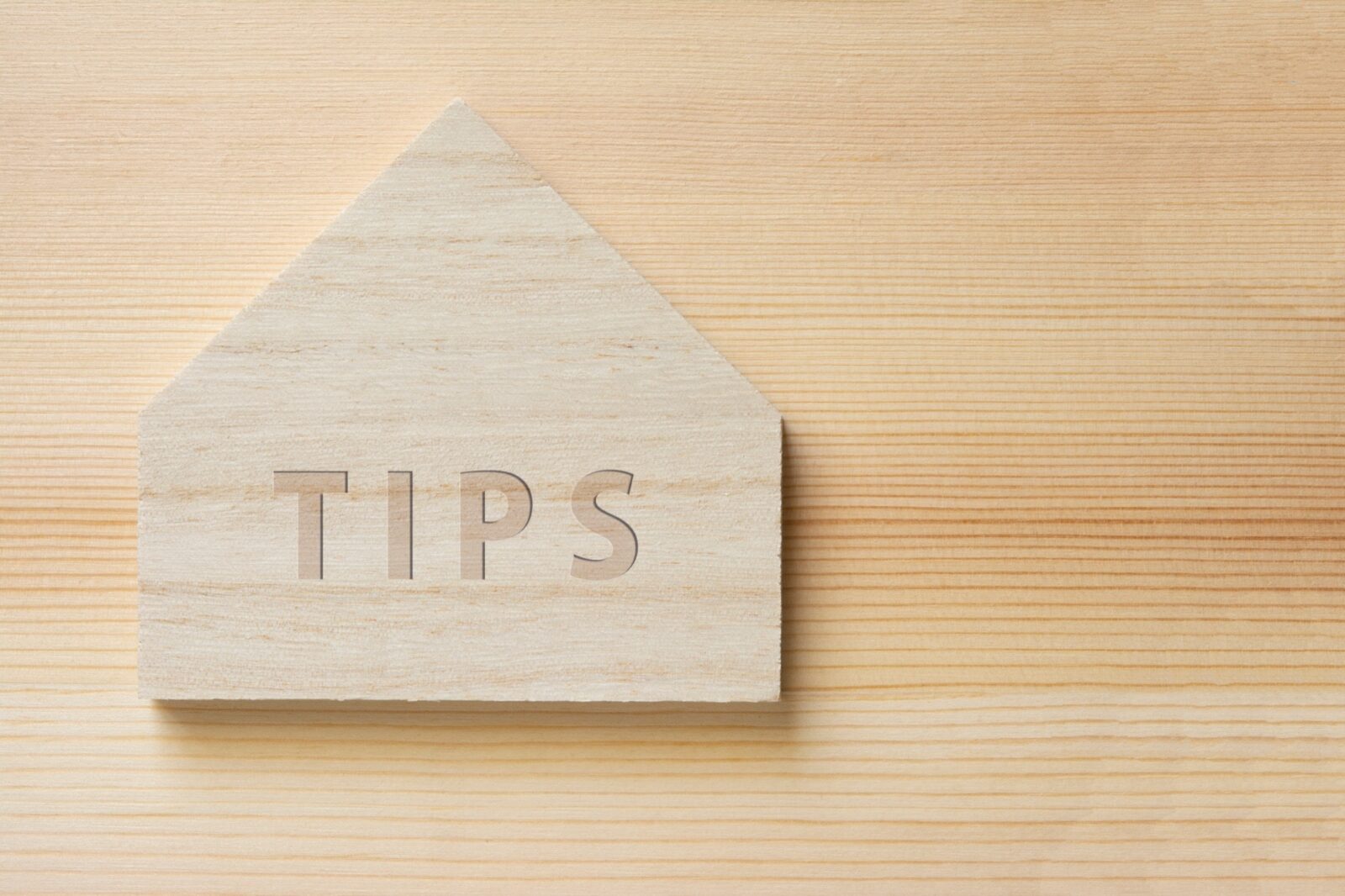 TIPSと書かれた家のブロック